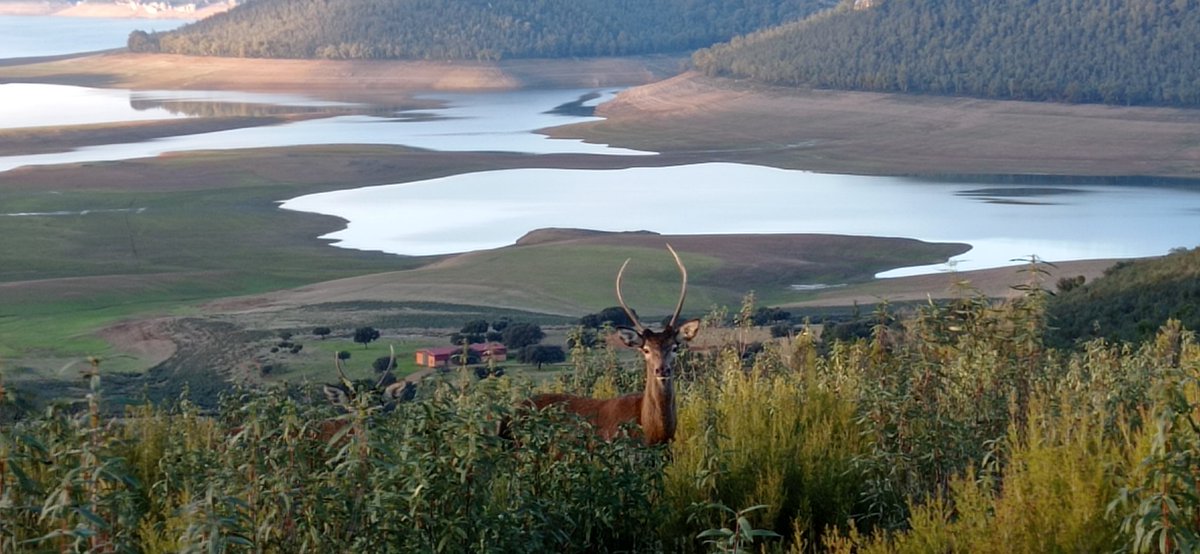 Manolo15808108's tweet photo. Buenos días. Naturaleza en estado puro.
#EXTREMADURA 
#LaSiberiaExtremeña 
#FelizDomingo https://t.co/HJlPnkC3WZ