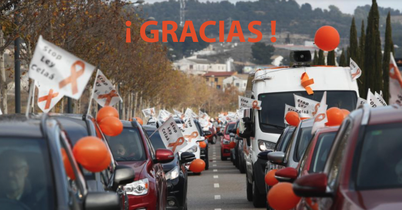 escatolicaragon's tweet photo. ¡Gracias a todos! Colegios, profesores, alumnos, asociaciones, familias y medios de comunicación, que con su participación, han conseguido que esta manifestación para decir #StopLeyCelaá haya sido todo un éxito.

#MasPlurales https://t.co/QzwYHUCP6i
