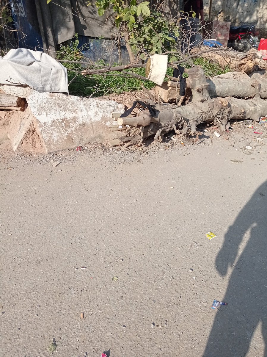 IamUsmanAmin's tweet photo. Look at the miserable condition of park in street 15, I-10/1... @CDAthecapital
@CDA_Islamabad @DirectorateRev @SardarZimri @ChiefCommISB @ImranKhanPTI @I10Isb https://t.co/TRMijfSkI2
