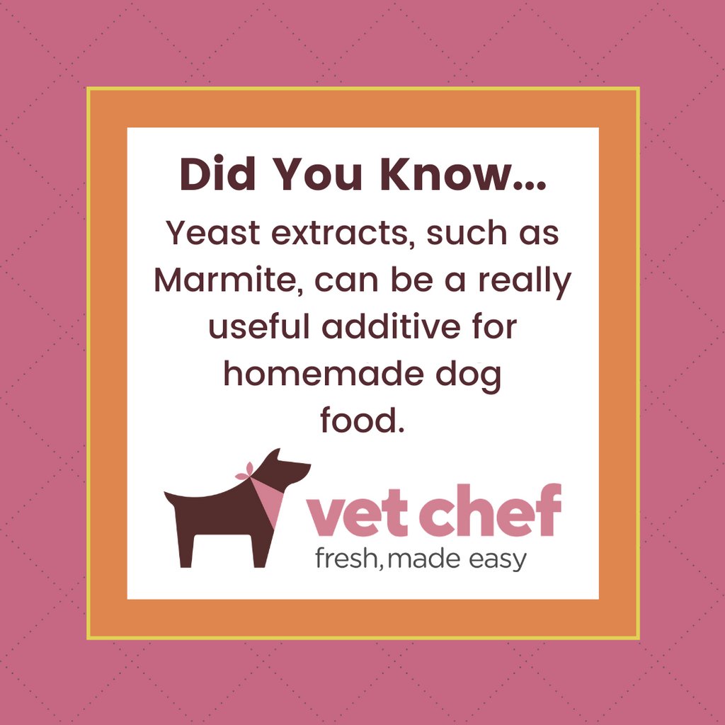 VetChef's tweet photo. Did you know… yeast extracts (such as Marmite) can be a really useful additive for homemade dog food. As well as adding a boost of B vitamins and protein, they also contain chromium which may improve glucose tolerance in diabetic dogs.
#vetchef #freshfeddogs #freshdogfood https://t.co/wwCQHtgaOO
