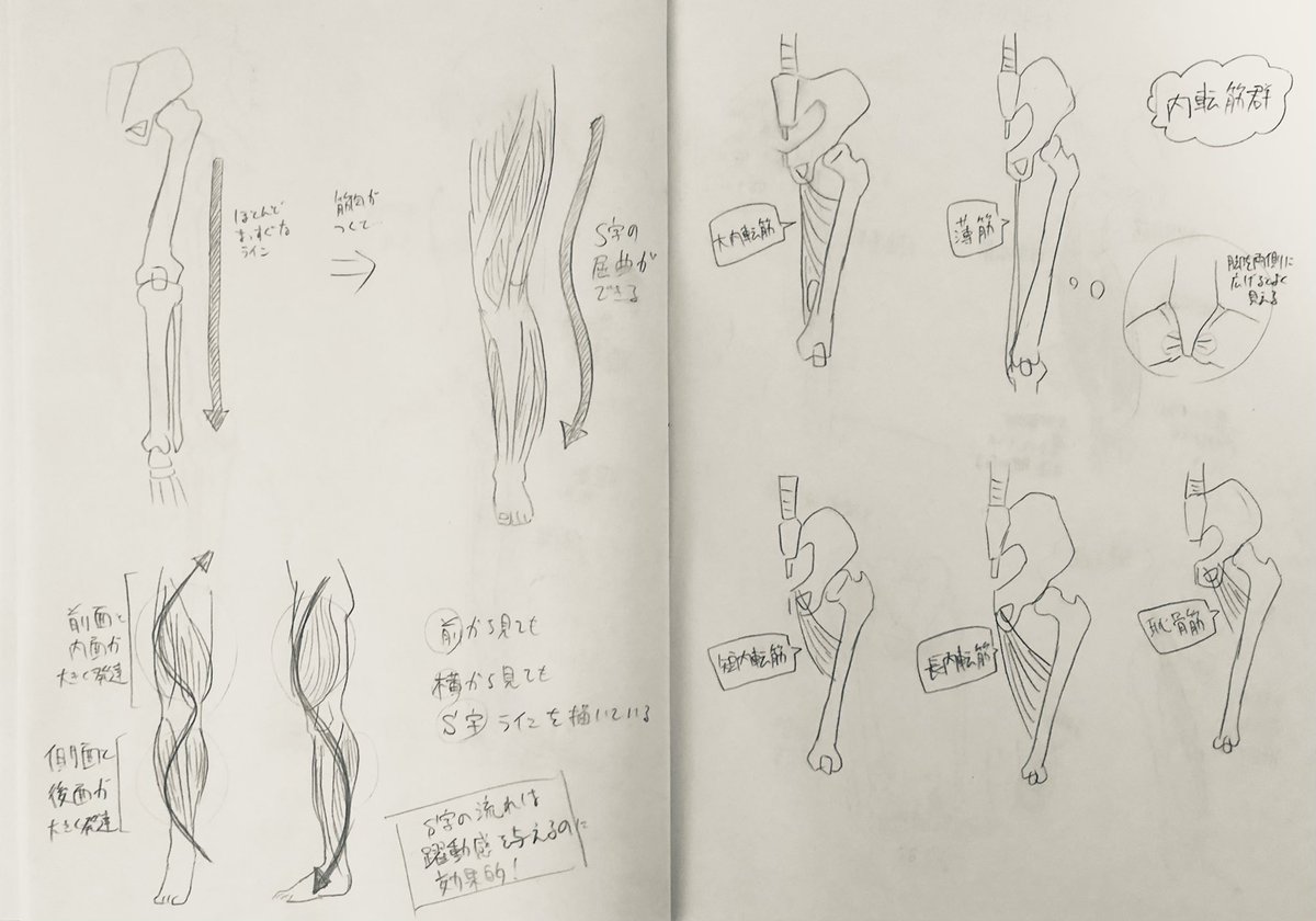 @tos 
#201209Leafst絵の練習 
12日目
脚の筋肉の話
美しい脚を描きてえ 