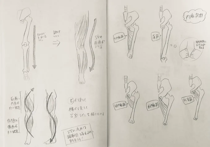@tos 
#201209Leafst絵の練習 
12日目
脚の筋肉の話
美しい脚を描きてえ 