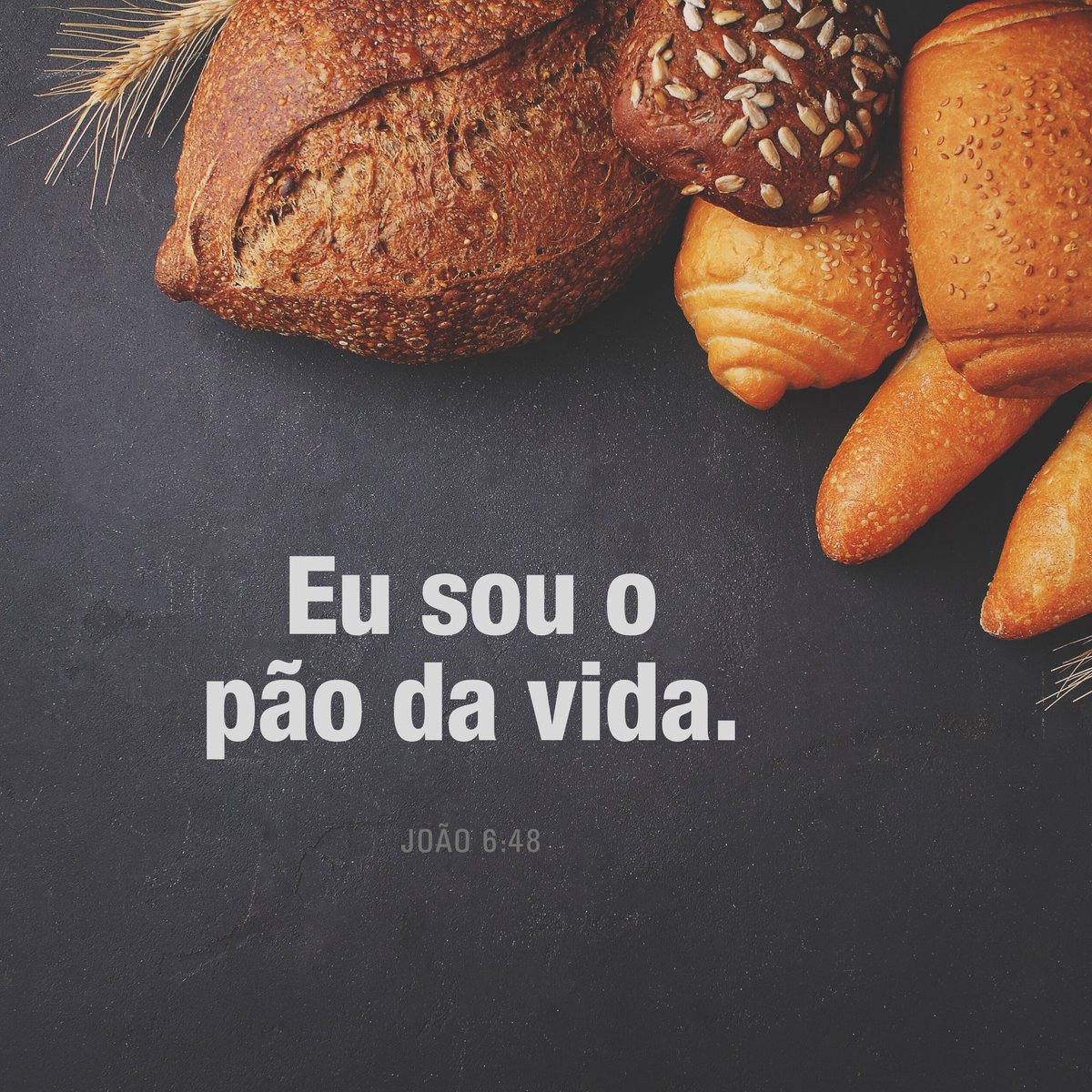 enteu's tweet image. Eu sou o pão da vida.

João 6:48
