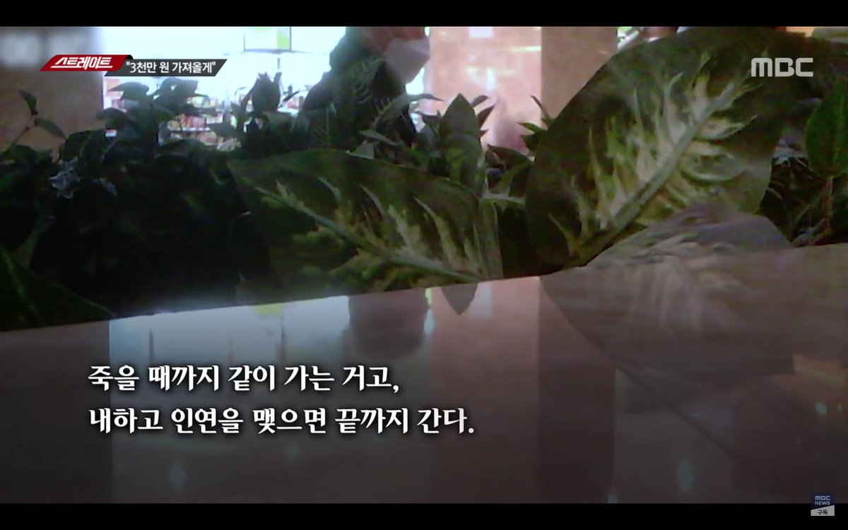 uklondon21's tweet photo. 충격. 국짐 전봉민의 아버지 전광수 이진종합건설 회장이 이 두사람의 특혜분양과 건설비리를 추적하던 MBC 스트레이트 기자에게 인터뷰 말미에 대놓고 '3천만원 줄테니 보도 하지 마라' 라고 청탁. 와.....MBC는 김영란법 위반 혐의로 전광수를 고발 검토 https://t.co/36d11tsqF7
