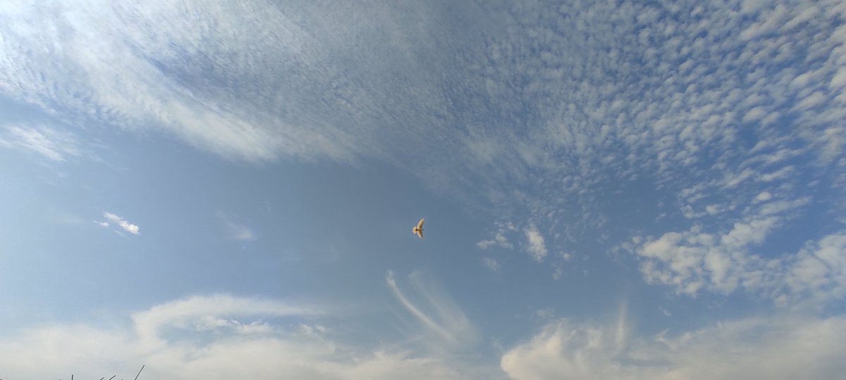 Took some sky pictures without neela peela editing.