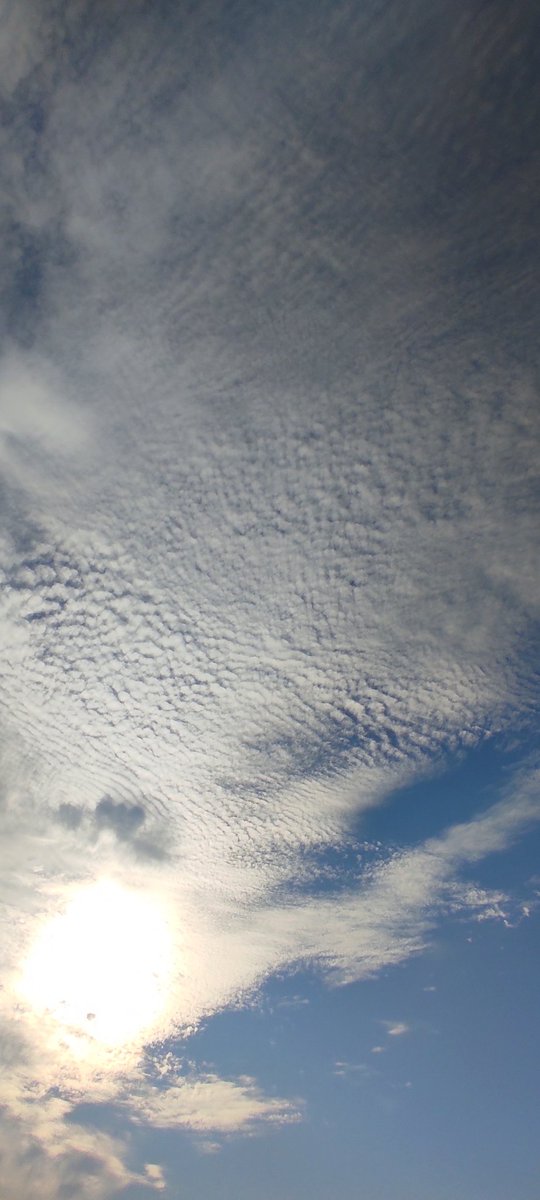 Took some sky pictures without neela peela editing.