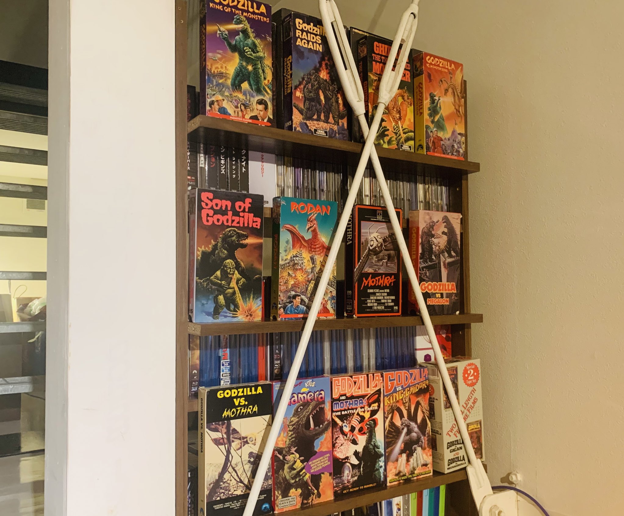 壁の中に誰かがいる　VHS　字幕版 壁の中に誰かがいる【中古品DVD】※レンタル落ち（ジャケットに難