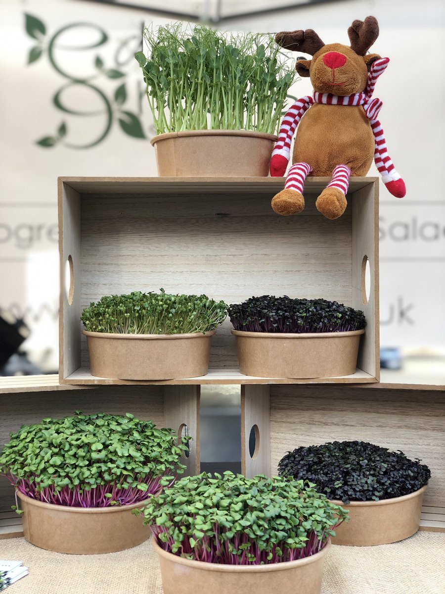 Eden Greens Urban Farm tweet media