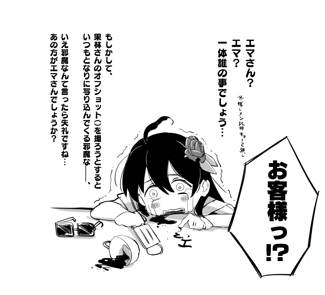 山川水 思いがけず推しに恋人らしき人物がいることを知ってしまった綾小路姫乃さん 山川水 思いがけず推しに恋人らしき人物がいることを知ってしまった綾小路姫乃さん