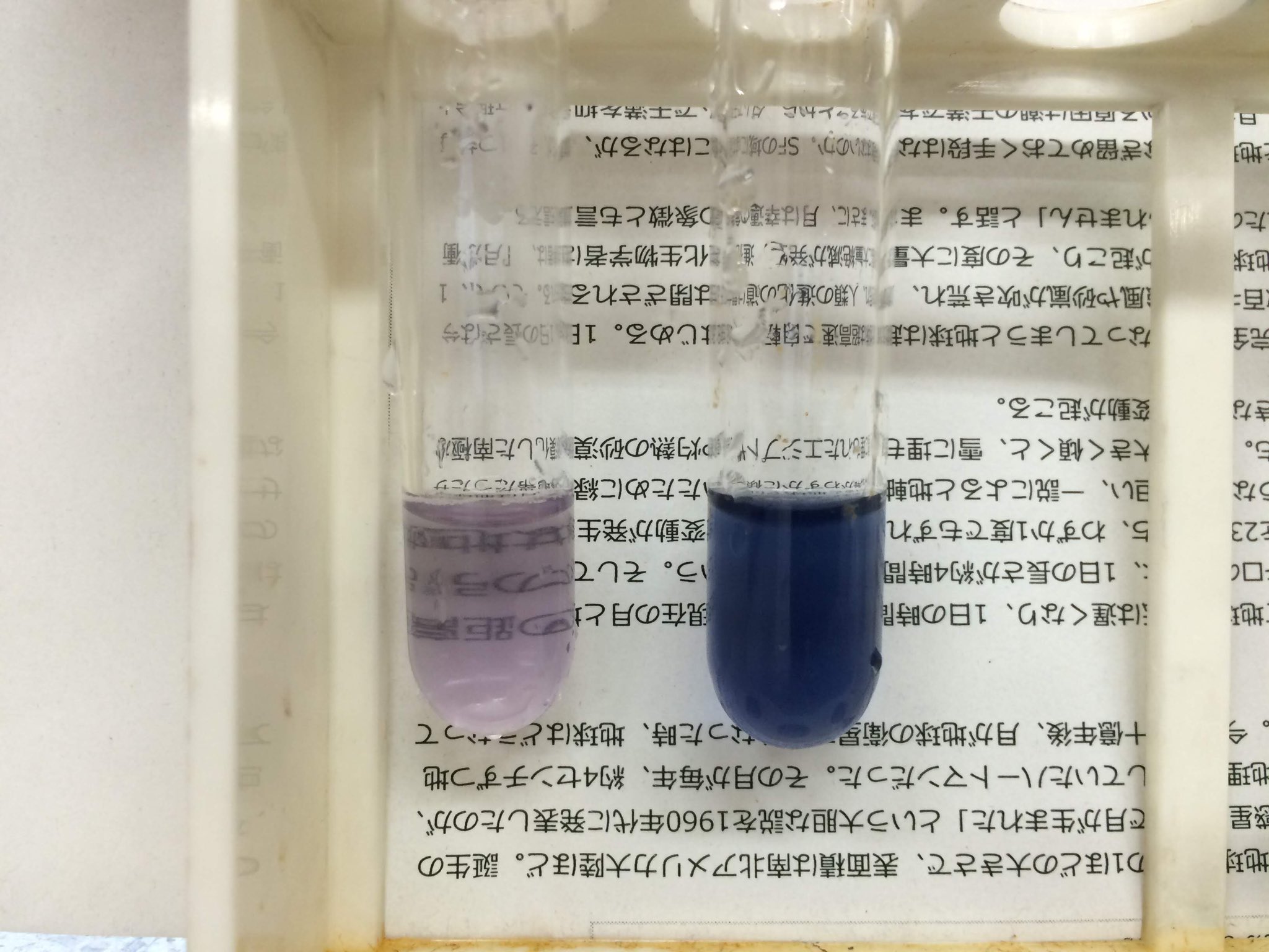 理科実験おたすけ隊 試験管で同じ実験をして 透明度を比べることもできます でんぷんは水に溶けないので透明にならず試験管の向こうは透けません 唾液を入れてると でんぷんが分解されて糖類になるので 試験管の向こうが透けてみえます