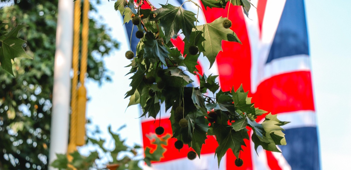 Wine for Christmas - mailchi.mp/a0120f992b77/w… Had to change your plans? We can still deliver.