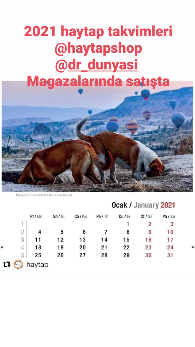 zhalarslan's tweet photo. Haytap takvimlerini D&amp;R mağazalarından ve D&amp;R online mağazalarından da alıp sahipsiz Hayvanlar konusuna ilgisiz bir arkadaşınıza hediye edebilirsiniz. Belki de bir takvimle hayatı değişir kimbilir.. 
#yaşamellerinizde
#haytaptakvim
#gemicitakvim
#haytapshop https://t.co/jQlaaG0DUn