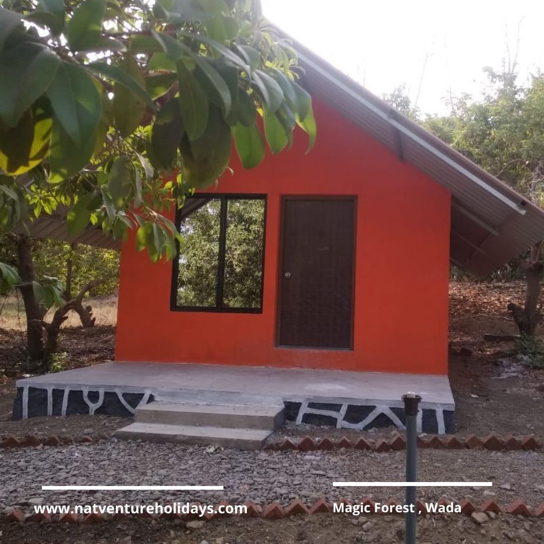 NatventureH's tweet photo. How about a quiet celebrations in nature, under the stars this New Year’s Eve?? A Celebration away from anything that makes loud noise. Interested?? https://t.co/U5VyKXqGUP