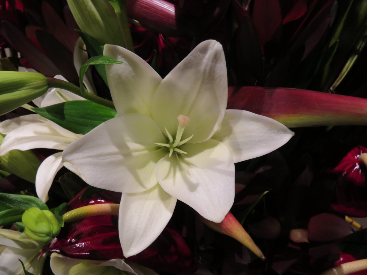 PLKlein_Author's tweet photo. "The happiness in your life depends on the quality of your thoughts." ~ #MarcusArelius #ThinkBIGSundayWithMarsha #ThinkingOutLoud #SundayMotivation #QuickQuotes #Happiness #Life #Quality #Thoughts https://t.co/ZzCPEN8Daq