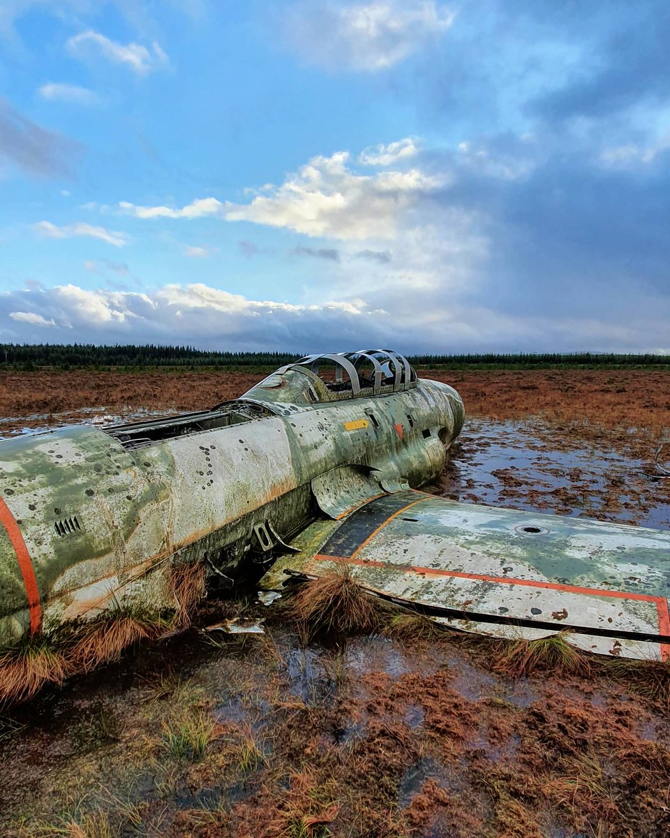 Andy_911 tweet media