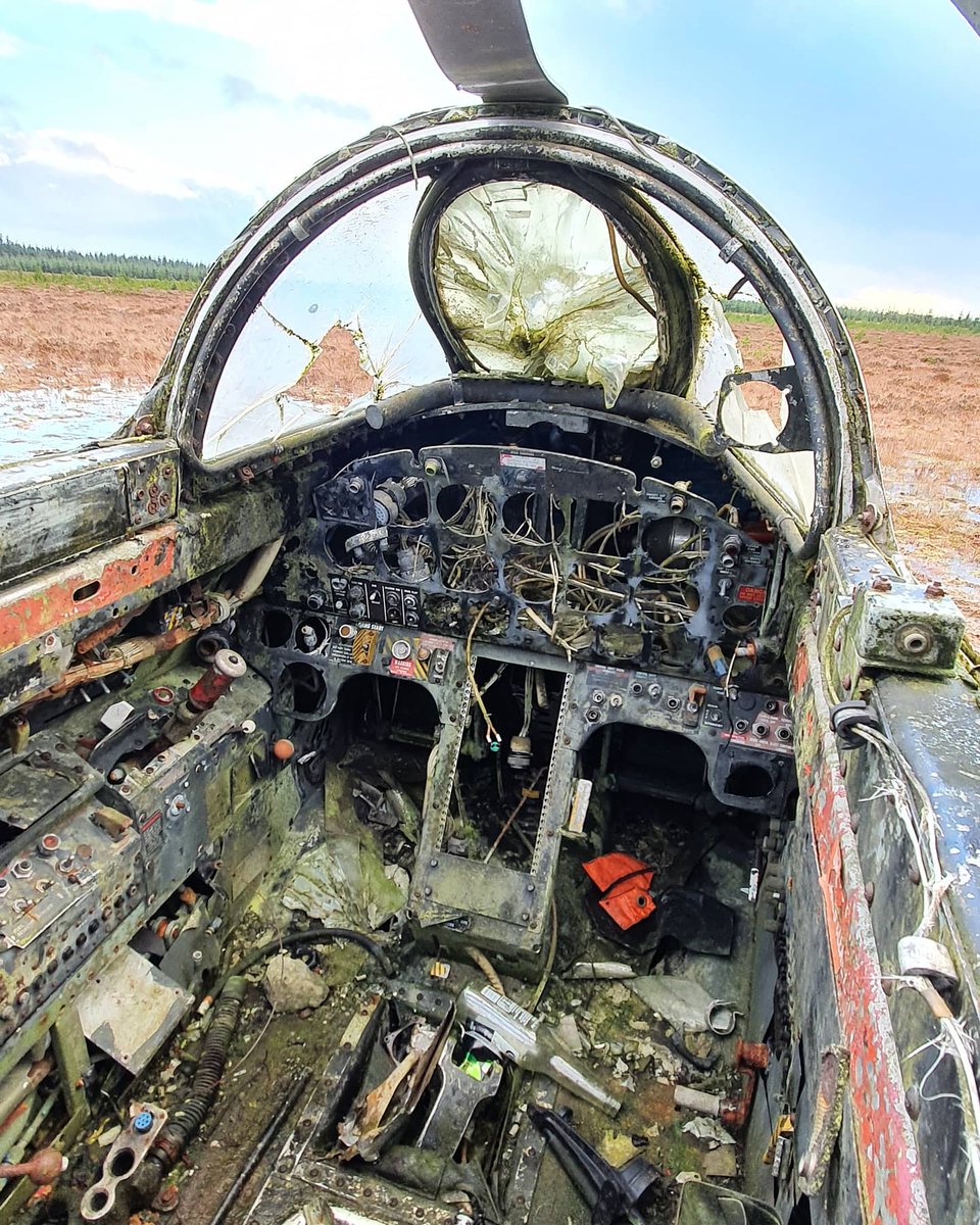 Andy_911 tweet media