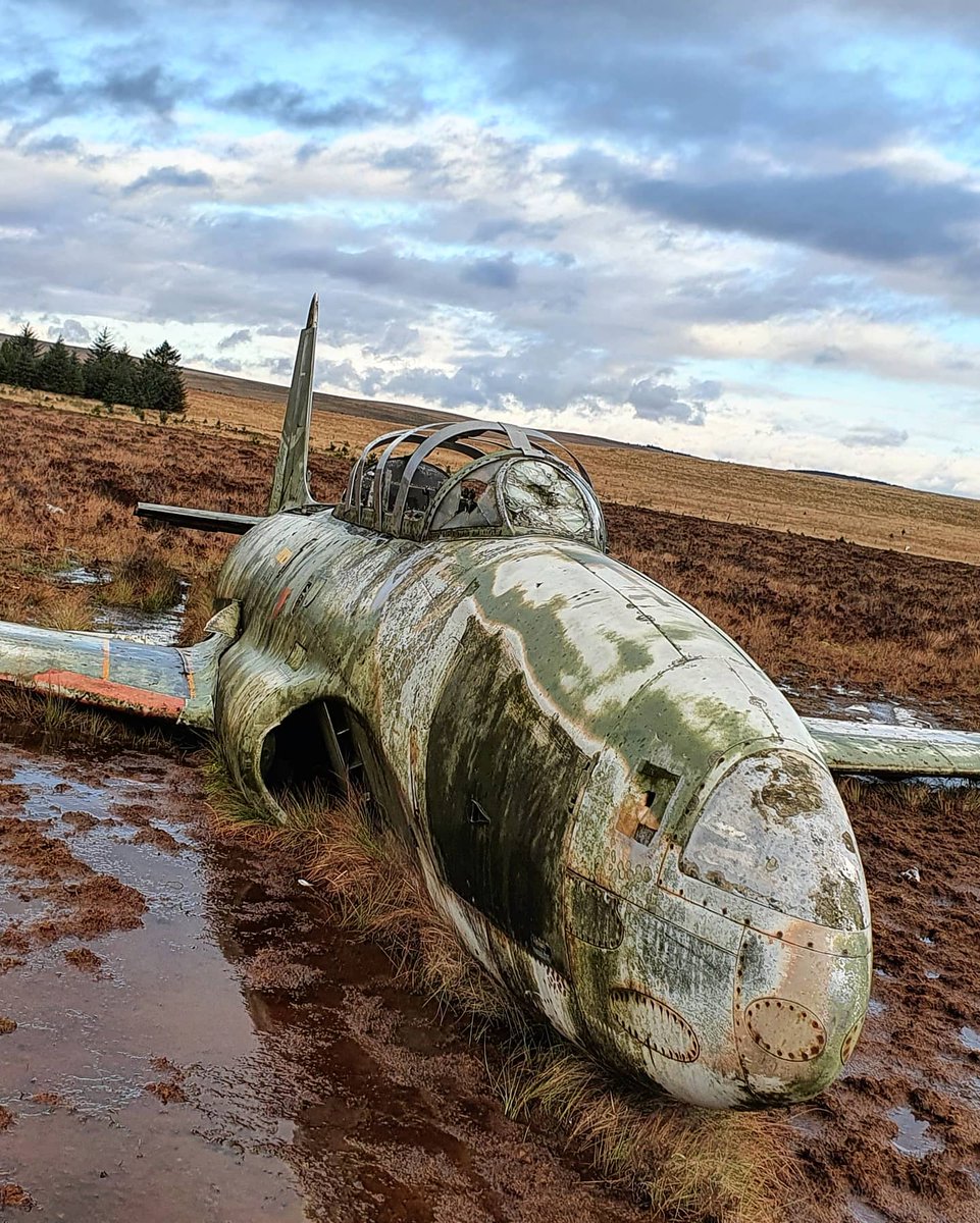 Andy_911 tweet media