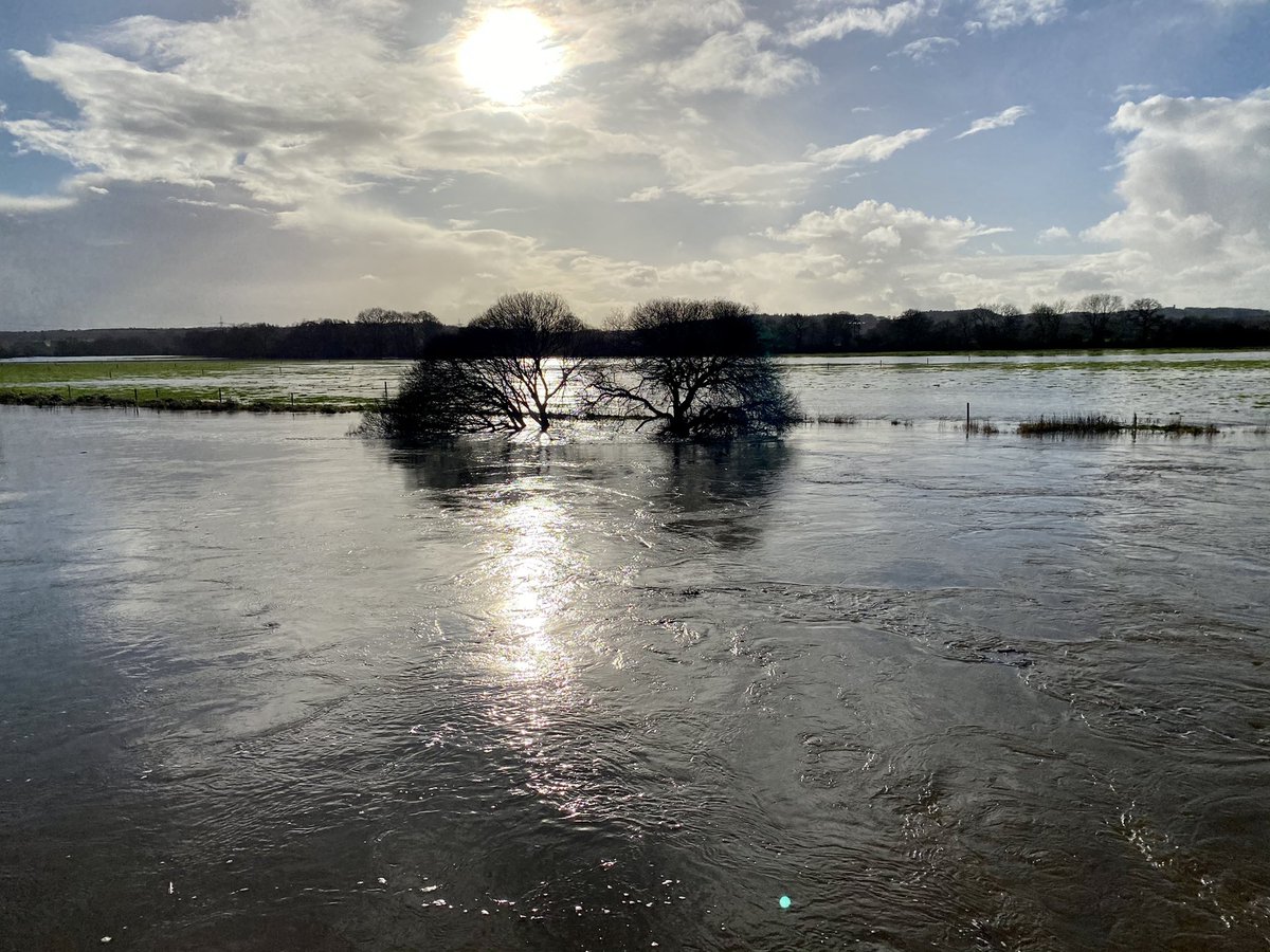 73cath's tweet photo. A bit wet around #WhiteMill and #Shapwick where #RiverStour has burst it’s banks @NTKingstonLacy https://t.co/X1yDv97P0e