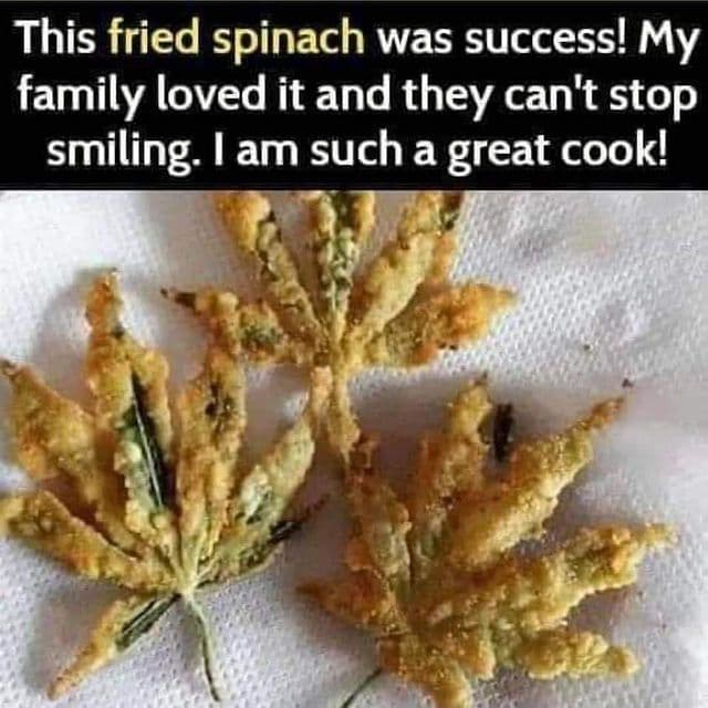 How well can you cook? 😁

#herbiesseeds #cannabisseeds #cannabiscultivation #cannabisgrowing #thc #cbd #marijuanagrowing #cannabis #marijuana #weed