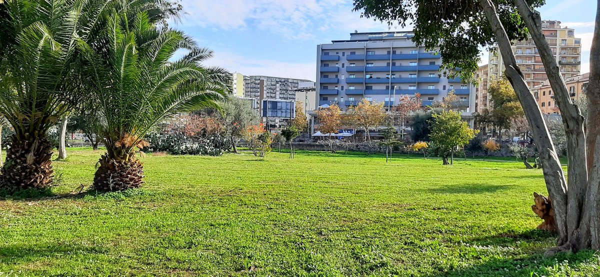 Vota #ParcoUditore ilmiodono.it/content/ilmiod…