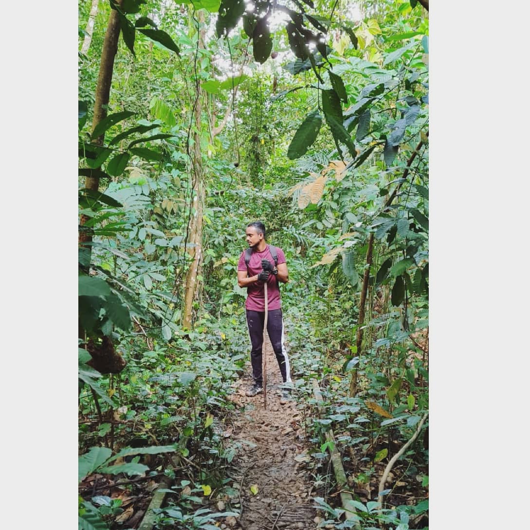 Mansurano's tweet photo. It was a Clementi forest day and special liking to the walking stick that i found. ✌🏽 https://t.co/HOlhjdXL9c