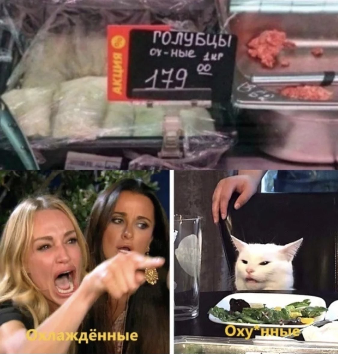 MrAdamNicholas's tweet photo. Обожаю этого кота https://t.co/8W8YOle0Qf