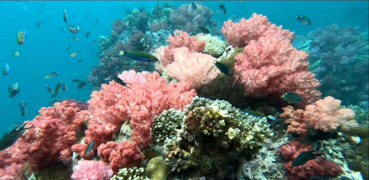 Jabang Hashtag On Twitter Jabang Hashtag On Twitter