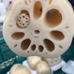 レンコンの中にレンコン!集合体恐怖症の人は見るのは控えた方が良いかもしれません…!