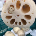 レンコンの中にレンコン!集合体恐怖症の人は見るのは控えた方が良いかもしれません…!