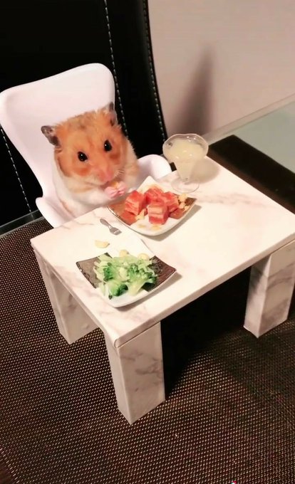 Seokjin as cute animals ~a thread~