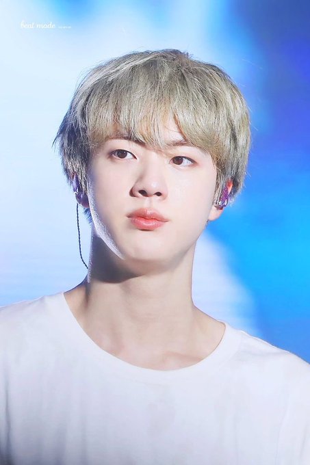 Seokjin as cute animals ~a thread~