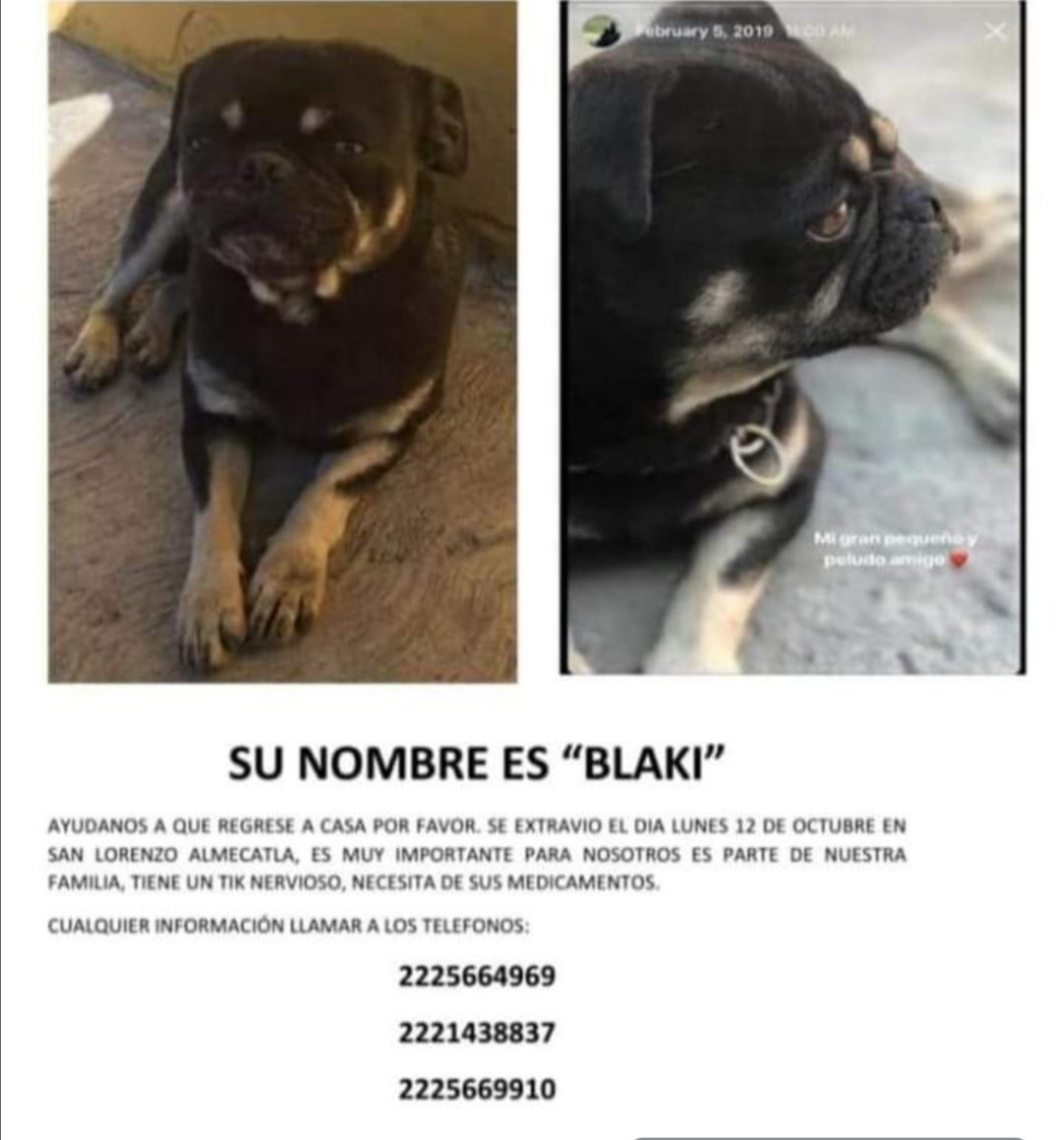 cuentaconmigo01's tweet photo. Se busca #Blaki
Informes 2225664969 https://t.co/We2XKvKMv6