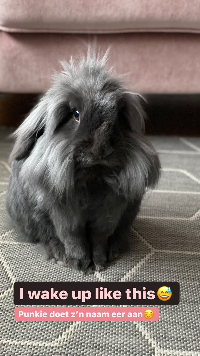 Mijn Punk🥰