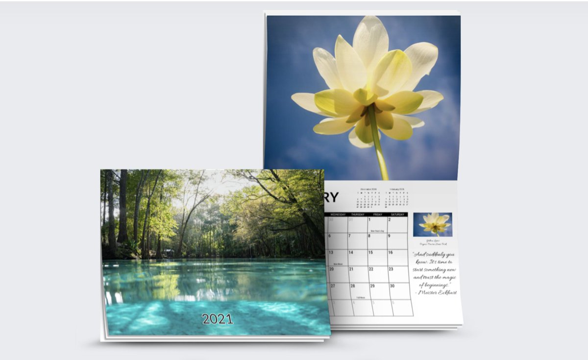 originalMCM's tweet photo. Looking for a great gift featuring photos from Florida Springs, Paynes Prairie &amp; Sweetwater Wetlands park for only $20 you can support a  local artist and have authentic gift to give. https://t.co/TVwuOr68sN @bestofgnv

 @Gainesville https://t.co/uCwOyfF9gj