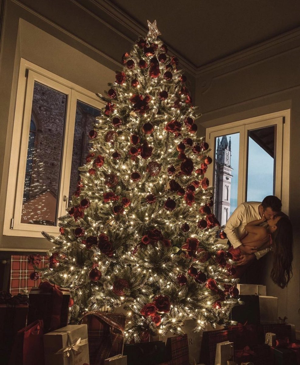 tmbIrpics's tweet photo. Christmas mood 🌲❤️ https://t.co/g63EWm8ThX