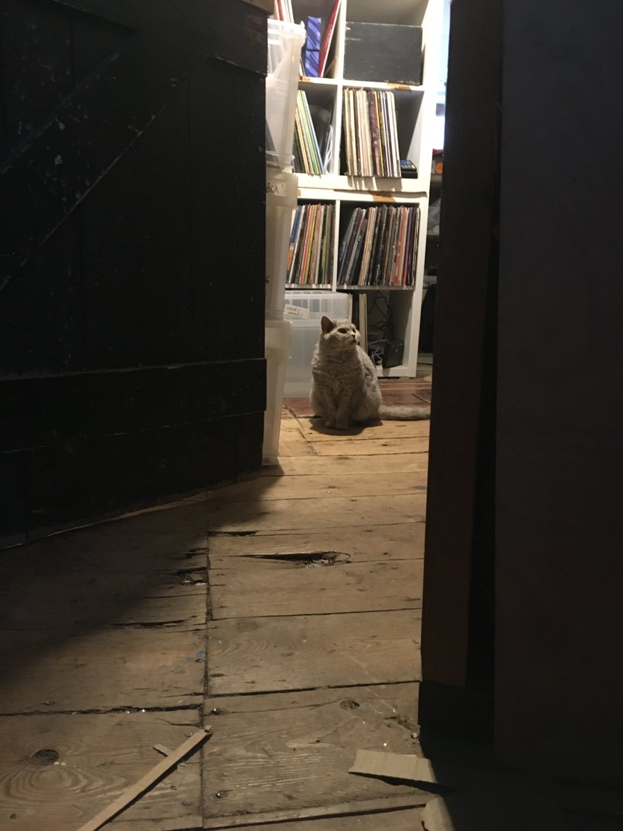 Hidden Notes tweet media