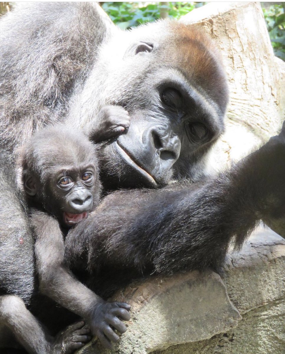 yashar's tweet photo. A mother spending time with her baby. https://t.co/RS5hkPuvvD