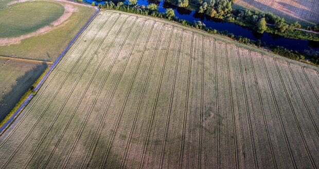 The exciting thing about Newgrange is that there is always something new to be discovered. Two years ago aerial images highlighted previously unknown forts & tombs within the Complex which came to light under the weather conditions in the Summer