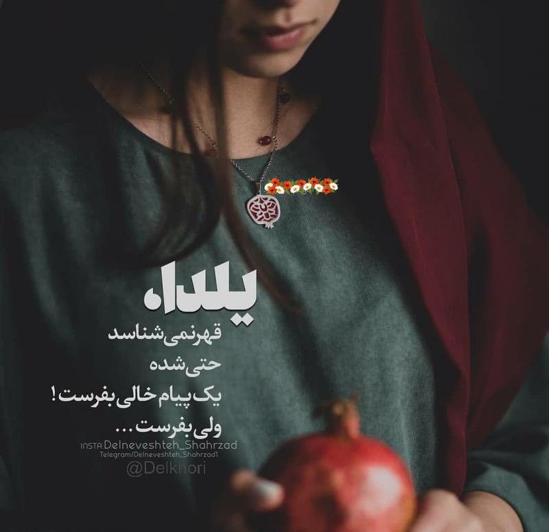 Shoaib Naib Khil🇦🇫 tweet media
