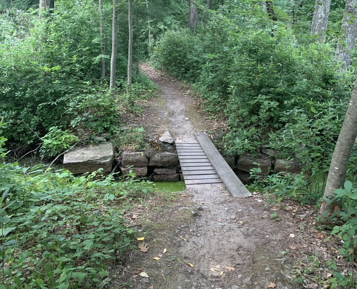 tedgrevers's tweet photo. If you could summarize your 2020 in one picture from your phone, what would be your #2020in1pic ? https://t.co/8chhS4xlVI