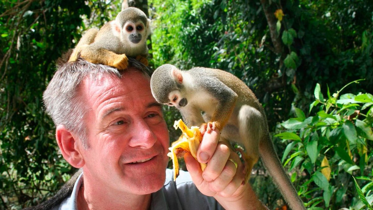 Los documentales de hoy en #laOtra

📌 Honduras salvaje 
📌 Sri Lanka salvaje
📌 Creó Dios la evolución?