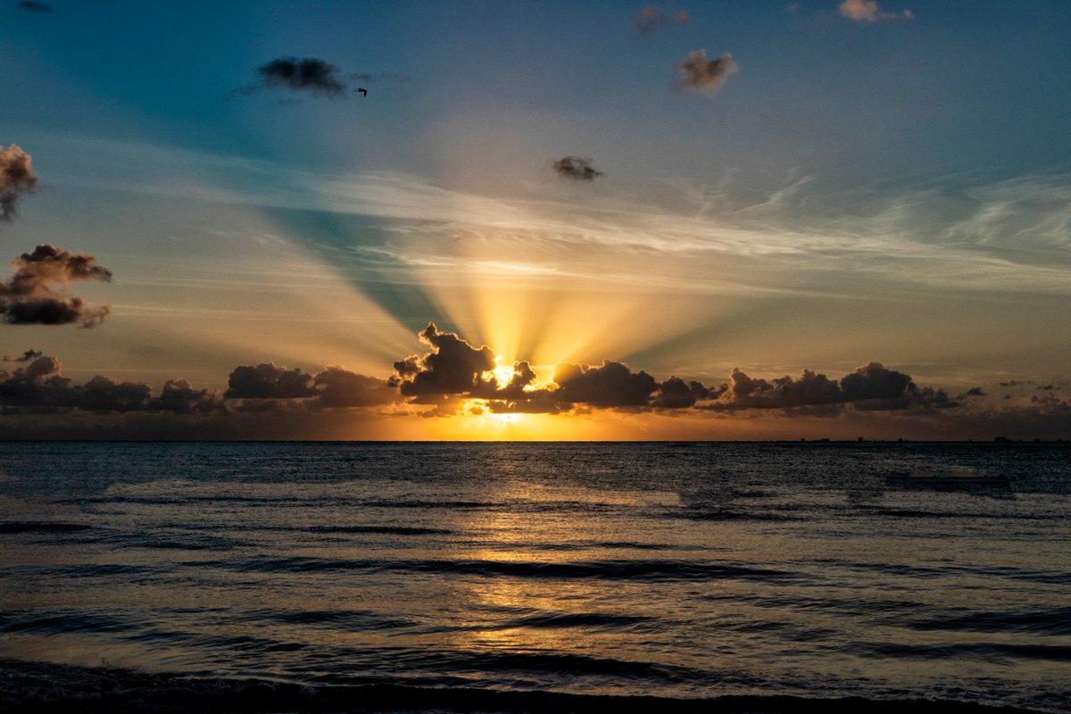 LauraBeristain's tweet photo. ¡No hay amaneceres más bellos que los de #PlayaDelCarmen! ¡Excelente domingo! #BuenosDías #CaribeMexicano #RivieraMaya #FelizDomingo. https://t.co/sJ1RpyNorl
