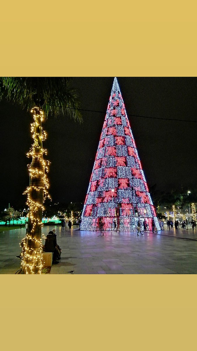 Mica0909's tweet photo. #christmas2020 #christmas #funchal #madeiraisland #portugal #christmastree #trees #palmtrees https://t.co/hO1N5QLp7f