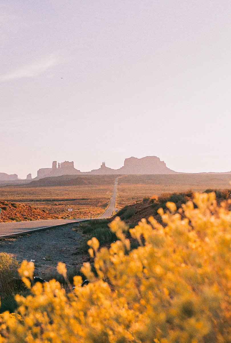 emilyshoots's tweet photo. i 👏🏼 love 👏🏼 the 👏🏼 desert 👏🏼 on 👏🏼 film 👏🏼 https://t.co/GSQAkoK2Ga