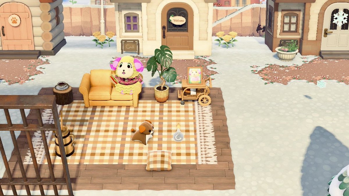 noncredea's tweet photo. Le ha gustado su nueva entrada al hogar 💛 https://t.co/aGuGcdCK2F