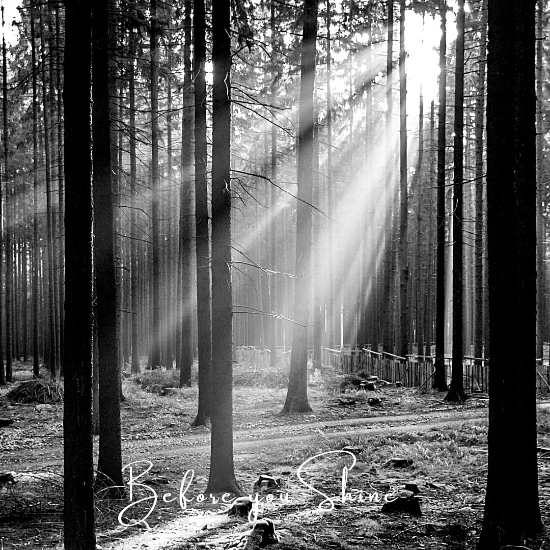 One of my tracks from my previous album Tennessee Embrace 

Before you Shine 🖤

patrickhorgan.bandcamp.com/track/before-y…