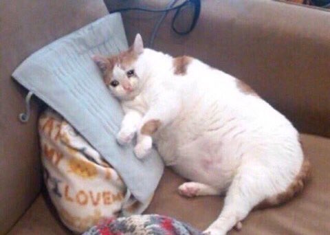 화질왜깨지는지알려줄사람~~~~🥺😭😭... 다들안녕히주무세요goodnight....