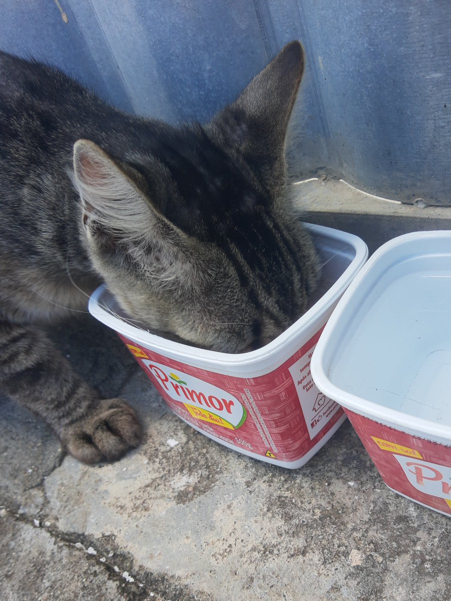 koovamp's tweet photo. #nutrido e #amado https://t.co/OHYEEiB1Fe