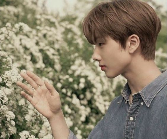 jisung is still young here but the height...