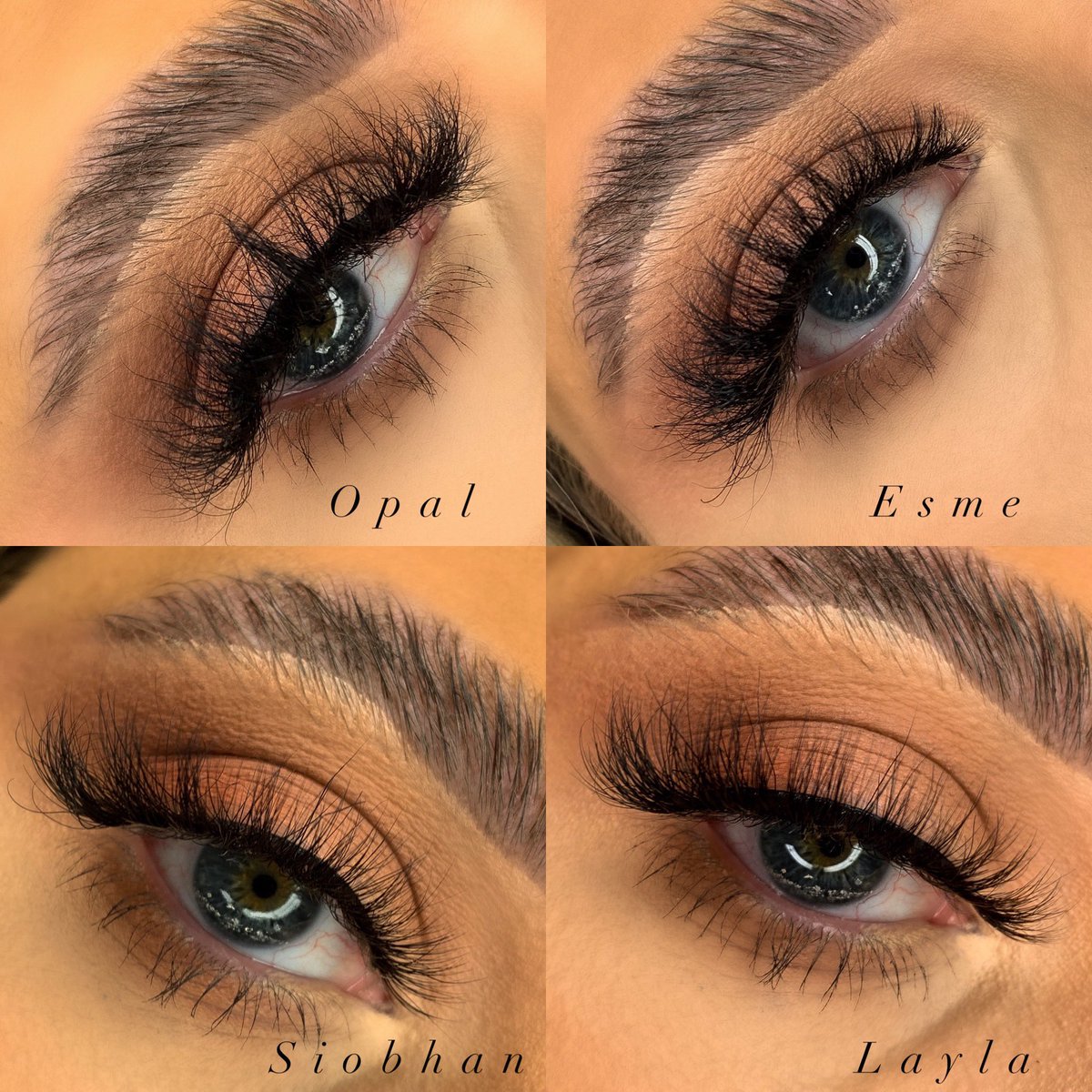 mollie_evs's tweet photo. Last minute Christmas presents? I got u 😎 

@Mollie_Lashes https://t.co/k5SSVNVDRL